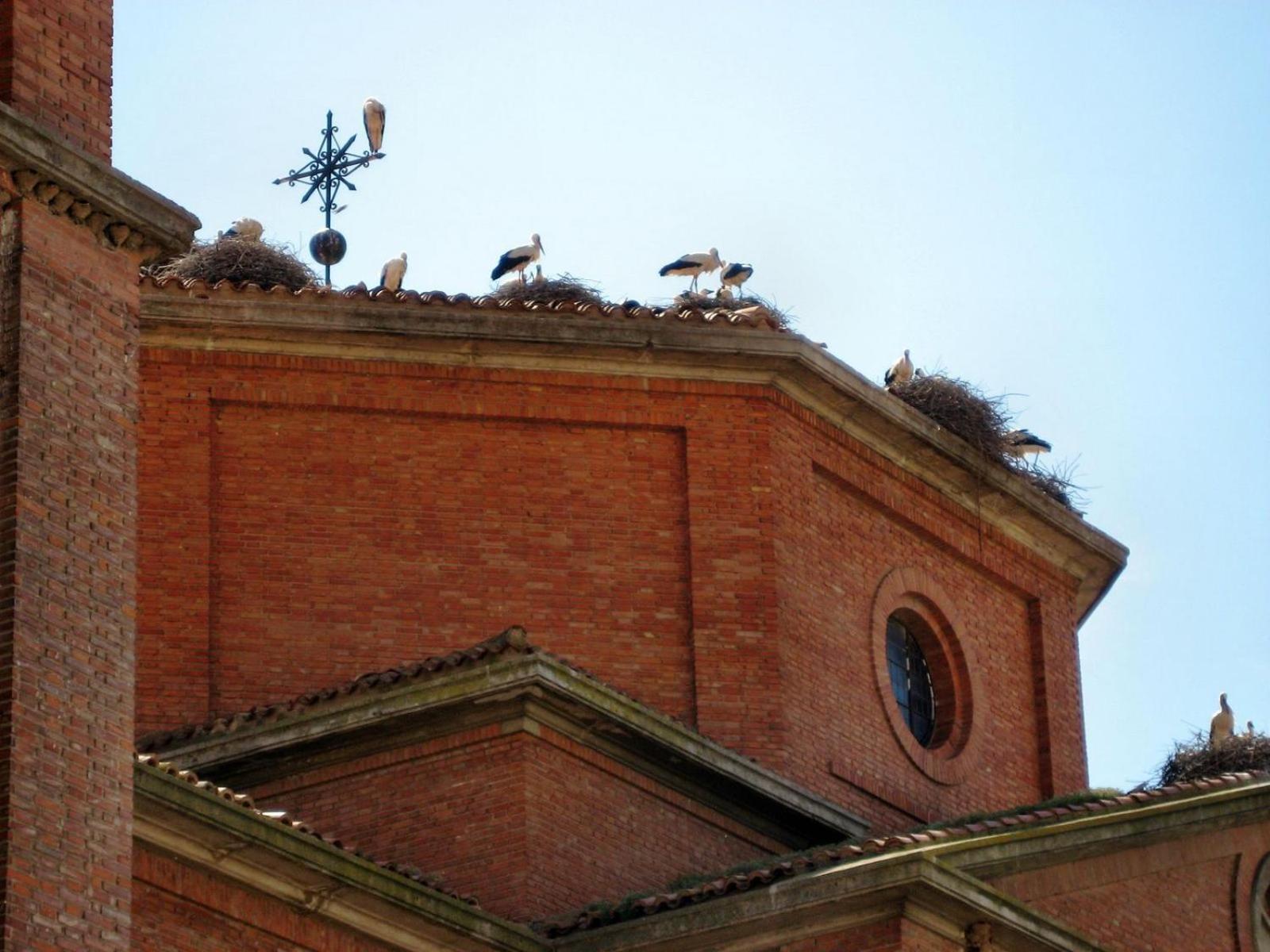 Hotel Rios San Adrián Zewnętrze zdjęcie